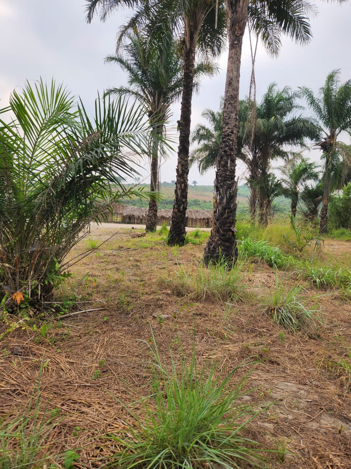 Rencontre communautaire