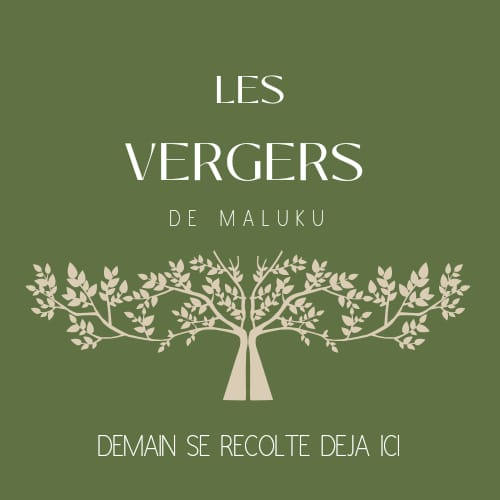 Université de Kinshasa