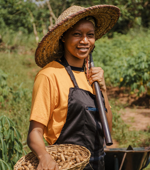 CONGO TERROIRS - Agriculture durable